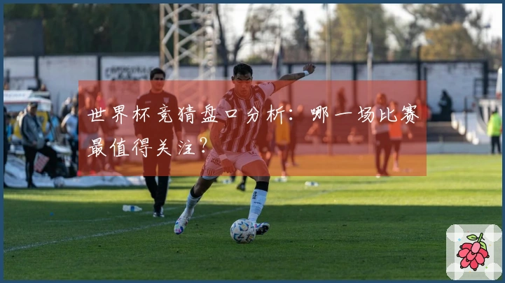 世界杯竞猜盘口分析：哪一场比赛最值得关注？