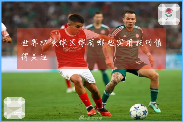 世界杯滚球买球有哪些实用技巧值得关注