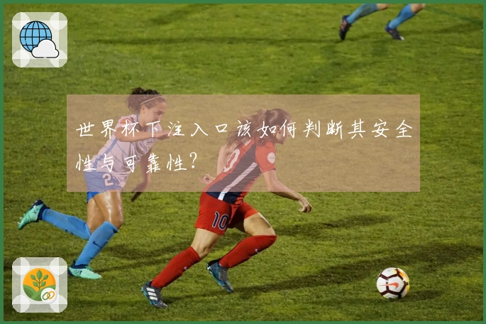 世界杯下注入口该如何判断其安全性与可靠性？