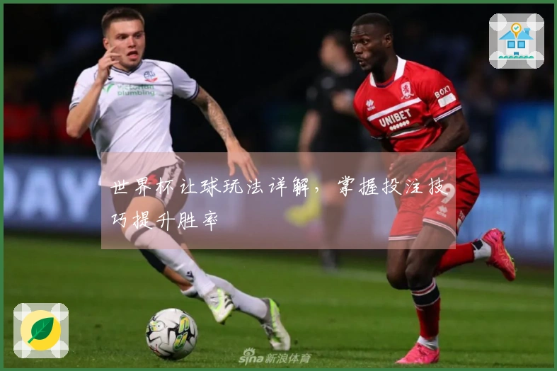 世界杯让球玩法详解，掌握投注技巧提升胜率
