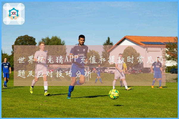 世界杯竞猜APP充值和提款时常见问题及应对技巧分析