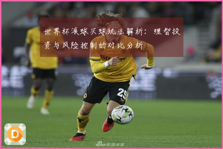 世界杯滚球买球玩法解析：理智投资与风险控制的对比分析