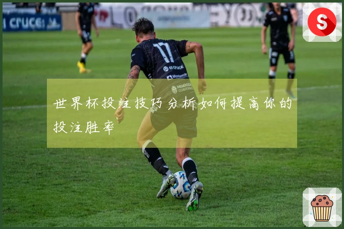 世界杯投注技巧分析如何提高你的投注胜率