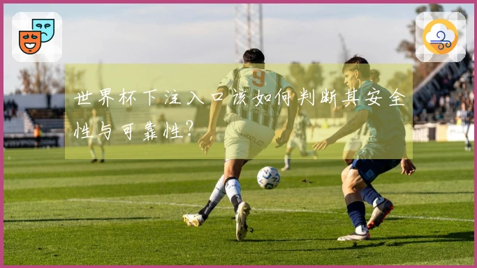 世界杯下注入口该如何判断其安全性与可靠性？