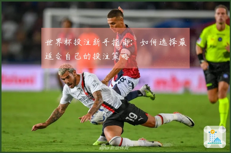 世界杯投注新手指南：如何选择最适合自己的投注策略