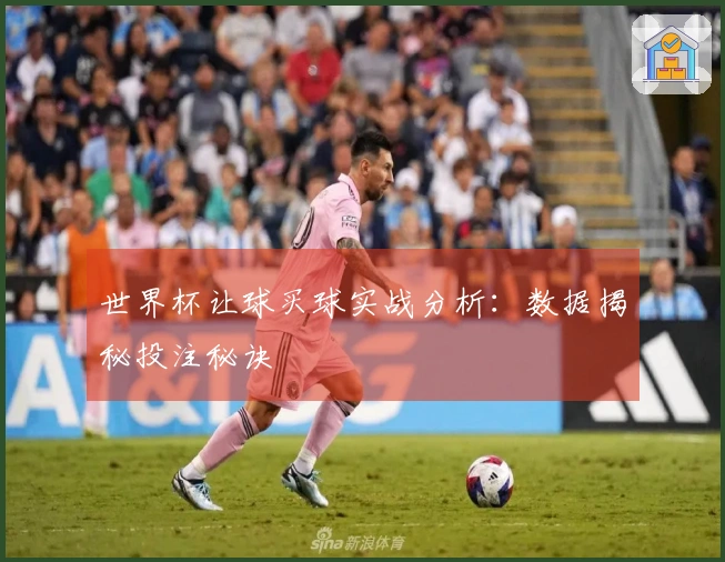 世界杯让球买球实战分析：数据揭秘投注秘诀