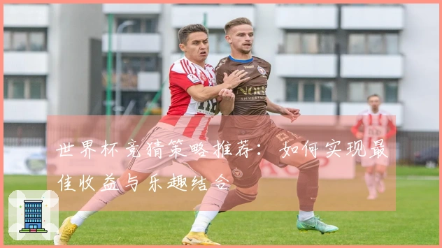 世界杯竞猜策略推荐：如何实现最佳收益与乐趣结合