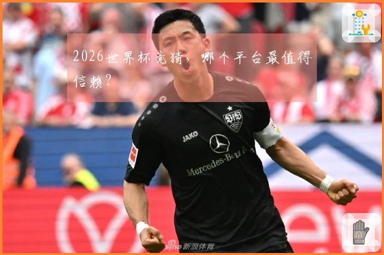 2026世界杯竞猜,哪个平台最值得信赖?