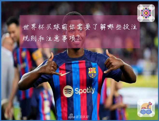 世界杯买球前你需要了解哪些投注规则和注意事项？