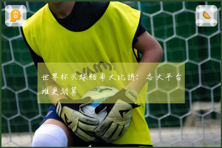 世界杯买球赔率大比拼：各大平台谁更划算