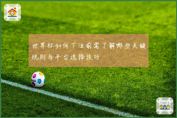 世界杯如何下注前需了解哪些关键规则与平台选择技巧