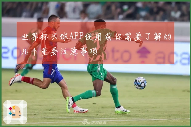 世界杯买球APP使用前你需要了解的几个重要注意事项