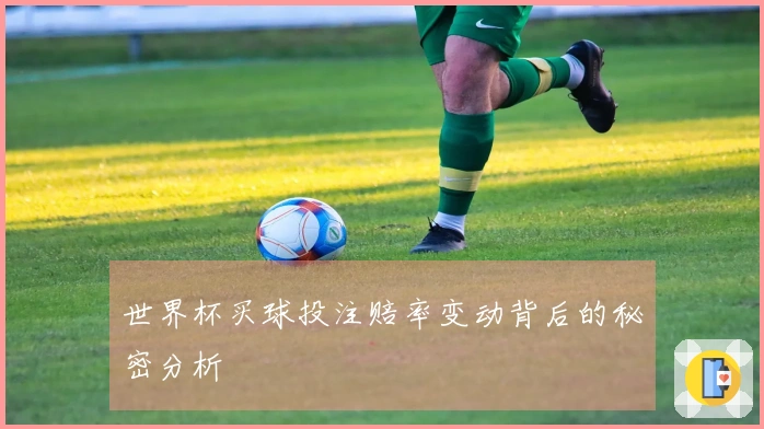世界杯买球投注赔率变动背后的秘密分析