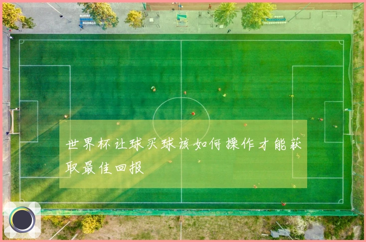 世界杯让球买球该如何操作才能获取最佳回报