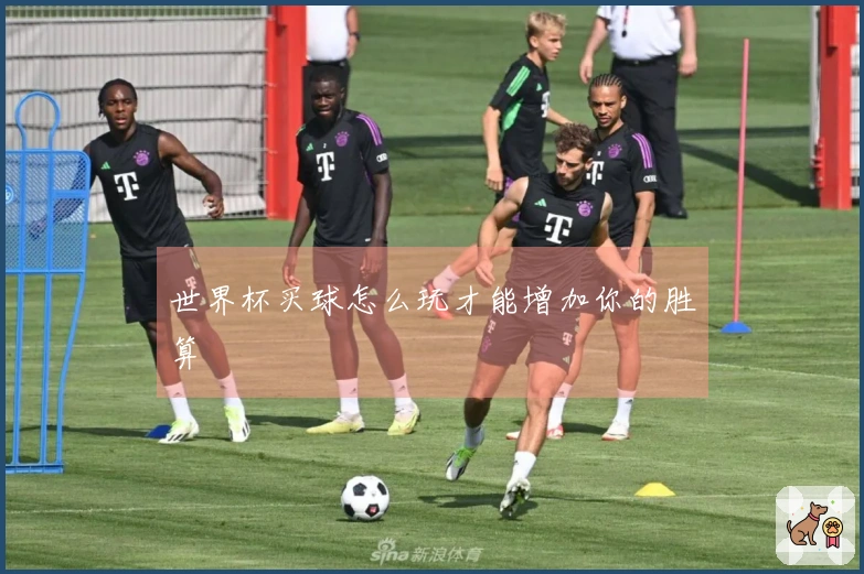 世界杯买球怎么玩才能增加你的胜算