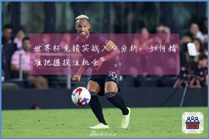 世界杯竞猜实战入口分析，如何精准把握投注机会