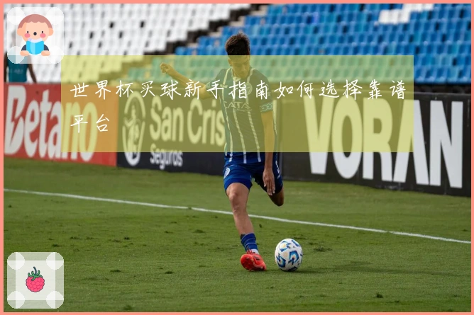 世界杯买球新手指南如何选择靠谱平台