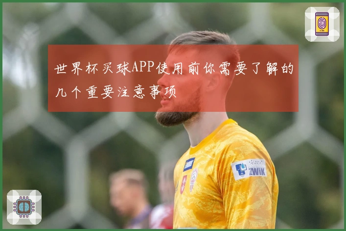 世界杯买球APP使用前你需要了解的几个重要注意事项