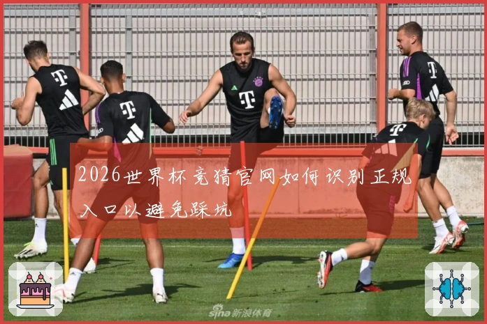 2026世界杯竞猜官网如何识别正规入口以避免踩坑