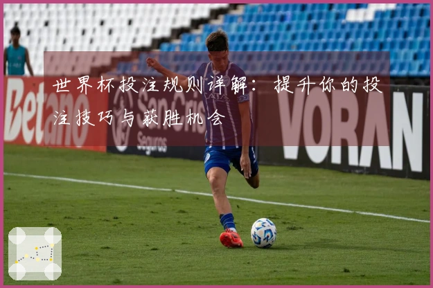 世界杯投注规则详解：提升你的投注技巧与获胜机会