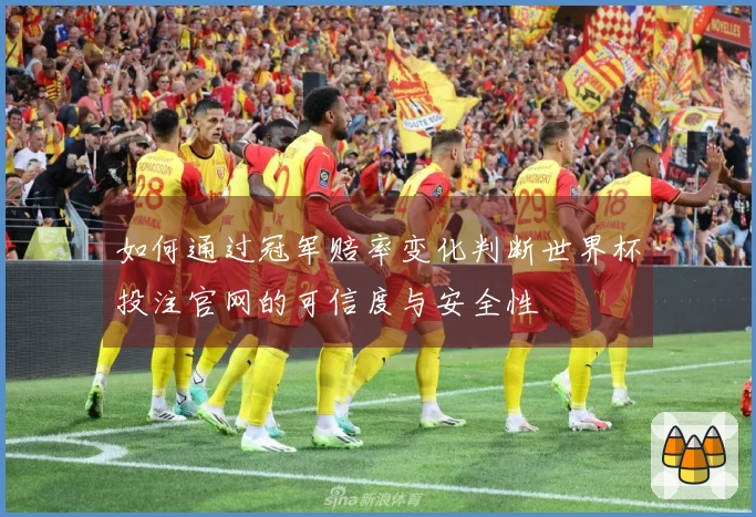如何通过冠军赔率变化判断世界杯投注官网的可信度与安全性