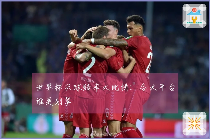 世界杯买球赔率大比拼：各大平台谁更划算