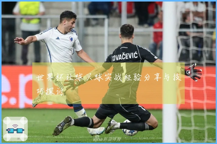 世界杯让球买球实战经验分享与技巧探讨