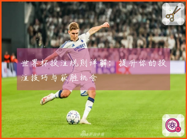 世界杯投注规则详解:提升你的投注技巧与获胜机会