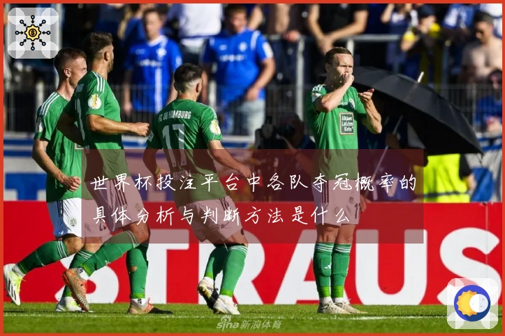 世界杯投注平台中各队夺冠概率的具体分析与判断方法是什么