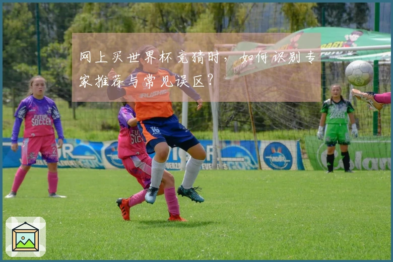 网上买世界杯竞猜时，如何识别专家推荐与常见误区？