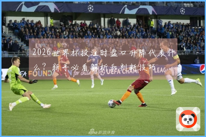 2026世界杯投注时盘口升降代表什么？新手必看解析和判断技巧