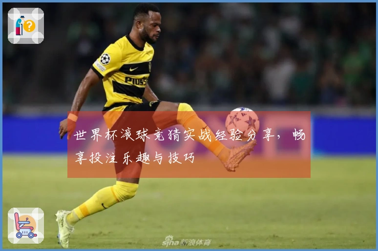 世界杯滚球竞猜实战经验分享，畅享投注乐趣与技巧
