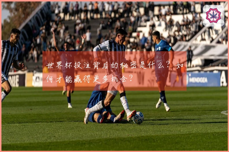 世界杯投注背后的秘密是什么？如何才能赢得更多机会？