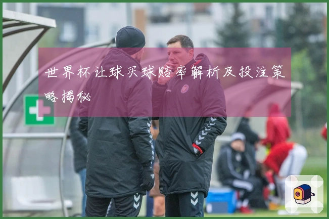 世界杯让球买球赔率解析及投注策略揭秘