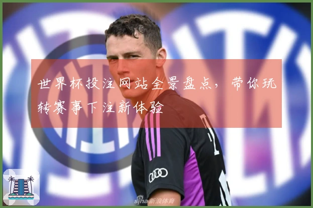 世界杯投注网站全景盘点，带你玩转赛事下注新体验
