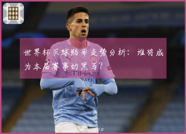 世界杯买球赔率走势分析：谁将成为本届赛事的黑马？