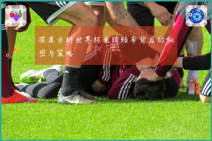 深度分析世界杯竞猜赔率背后的秘密与策略